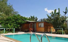 Green Bungalow